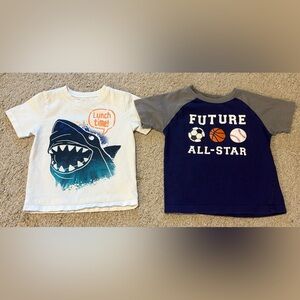 Set of 2 Cotton Shirts